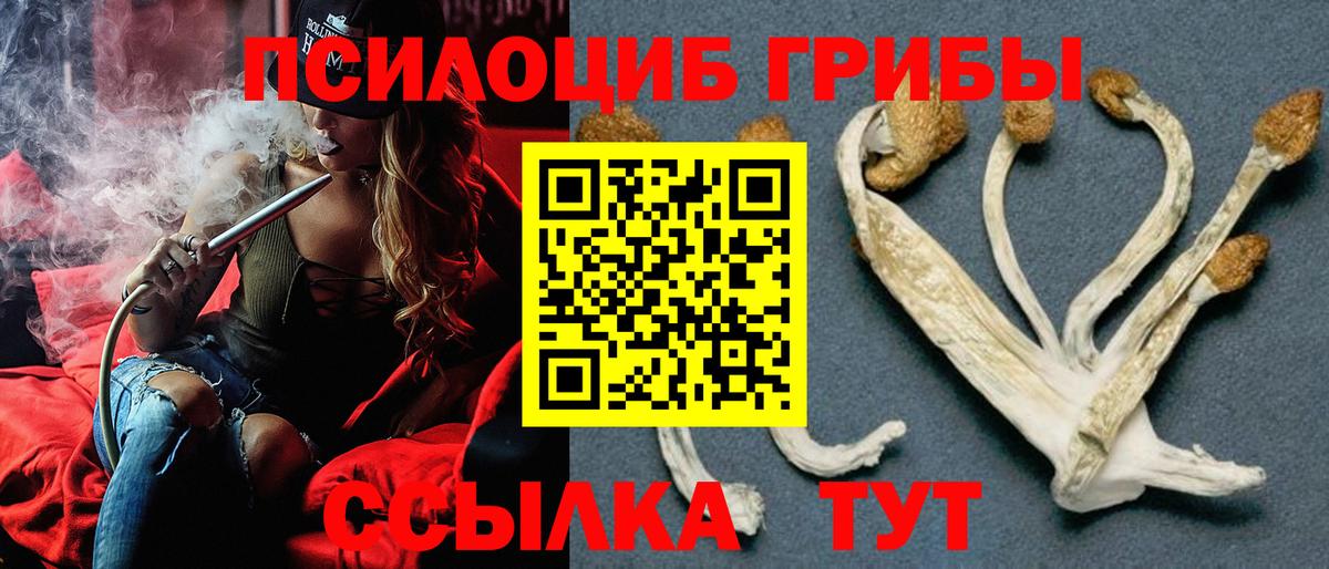 Галлюциногенные грибы мицелий  Вход с VPN  Рассказово 